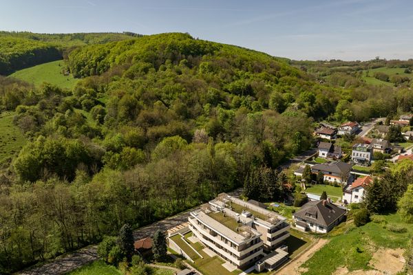 inside_wienerwald_view_kaltenleutgeben_completioninside_wienerwald_view_kaltenleutgeben_completion