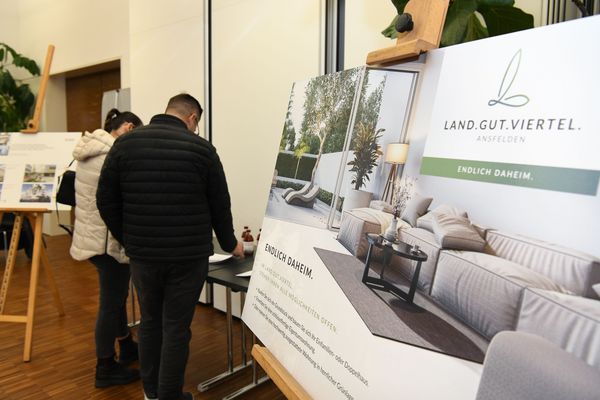 entering_into_dialogue_country_farm_quarter_info_event