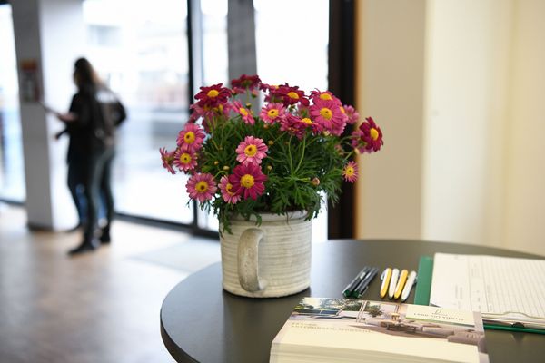 entering_into_dialogue_country_farm_quarter_info_event