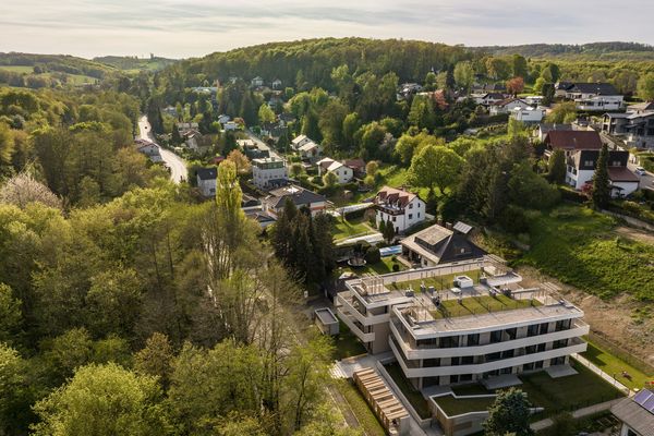 inside_wienerwald_view_kaltenleutgeben_completion