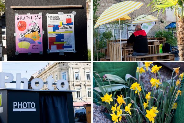 its_like_being_on_vacation_vienna_urban_oasis_wild_in_the_west