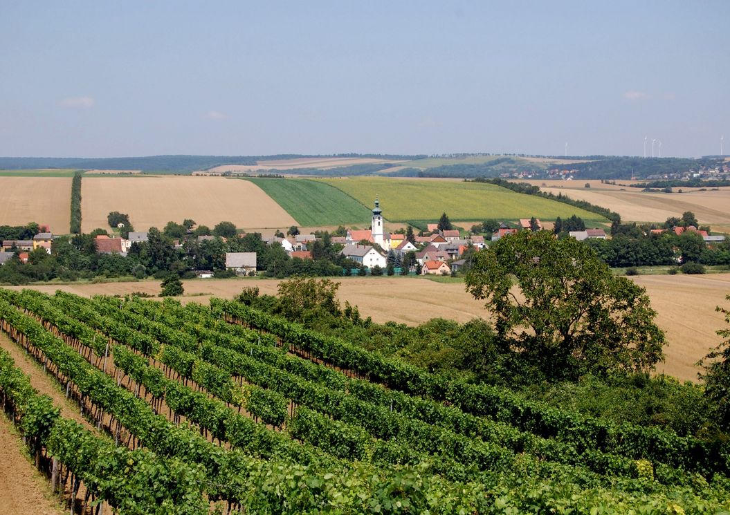 zum_jungbrunnen_hauptplatz_2130_mistelbach_umgebung_natur_weinberge