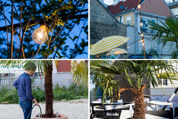 its_like_being_on_vacation_vienna_urban_oasis_wild_in_the_west